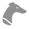 سگ دوانی